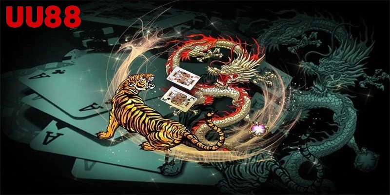 Rồng hổ là gì
